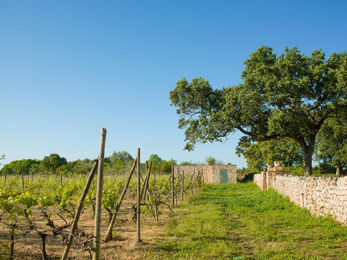 Sa Bassa Rotja Ecoturisme Porreres Exterior foto